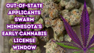 Outofstate applicants swarm Minnesota’s early cannabis license window [upl. by Rosalyn]