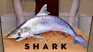 10 000 Maggots VS SHARK  How Quickly The MAGGOTS Eat a SHARK [upl. by Hochman]