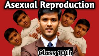 asexual reproduction class 10th  How do organisms reproduce class 10th science [upl. by Novyat]