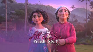 Encanto 2021 All Of You  Polish SampT [upl. by Tripp]