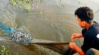 net fishing video village boy catch fish [upl. by Coridon134]