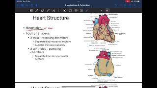 Anatomy Mediastinum and Pericardium Part 1 [upl. by Mercy224]