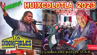 Los Indomables En Vivo  La Cumbia del Ratón DAR [upl. by Goff320]