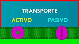 TRANSPORTE ACTIVO y PASIVO en la MEMBRANA PLASMÁTICA [upl. by Adnawed]