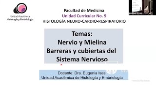 HistoNCR 2024  Teórico 4  Nervio y Mielina Barreras y cubiertas del Sistema Nervioso  1982024 [upl. by Fallon]