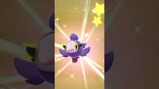 Daily Shiny Hunt  Day 1  Shiny Spritzee in 232 eggs  Masuda Method  No charm  shinypokemon [upl. by Namurt]