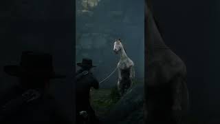 RDR2 LEGENDARY Hoses Location rdr2 shorts [upl. by Annayt777]