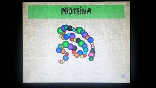 estructura de las proteinas [upl. by Retsek323]