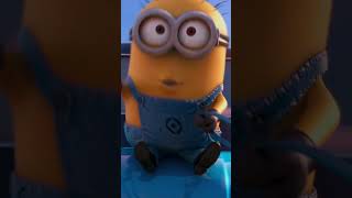 These minions dont give up  Despicable Me 2 [upl. by Holland675]