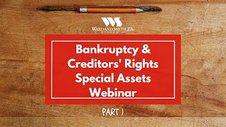 Bankruptcy amp Creditors Rights Special Assets Webinar Part I [upl. by Nuahsed]