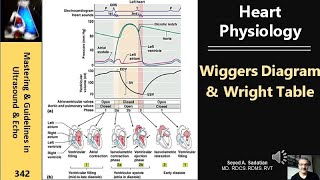 Heart Physiology Wiggers Diagram amp Wright Table [upl. by Ahsam935]