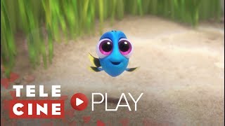 Telecine Play  Lançamentos 2017  Procurando Dory [upl. by Nettle]