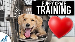 Crate Training Doesnt Need To Be Stressful [upl. by Cornell]