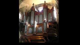 The Pipe Organ in Catholic Liturgies [upl. by Atinet]