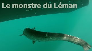 Le monstre du Léman [upl. by Wu]