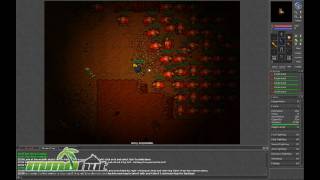 Tibia Gameplay  First Look HD [upl. by Hammerskjold459]