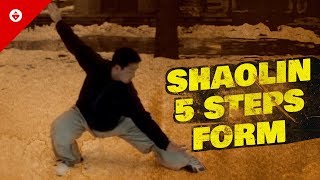 Shaolin Five Steps 五步拳  FIRST FORM You Should Learn  Shaolin Kung Fu Basics [upl. by Islehc]