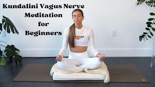 11 Minute Vagus Nerve Meditation  This will instantly calm you [upl. by Nomyaw]