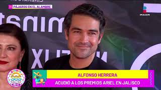 Alfonso Herrera FELIZ por el éxito de RBD ¿Se arrepiente de no estar en el reencuentro [upl. by Bartolomeo]