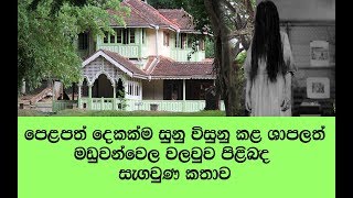 පෙළපත් දෙකක් නැති භන්ග කළ මඩුවන්වෙල වලව්ව ගැන ඔබ නොදත් කතාව  Maduwanwela Walawwa Hidden Story [upl. by Ng964]