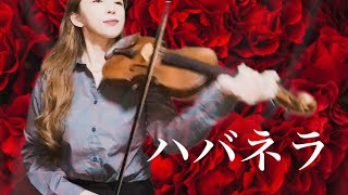 ビゼー《オペラ「カルメン」より》ハバネラ Lamour est un oiseau rebelle violin [upl. by Clawson]