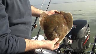 Fishing for Flatfish  Rigs Tips amp Tactics  CATCH MORE FISH [upl. by Elleirua]