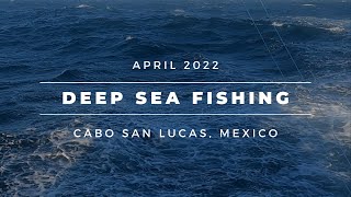 Dorado in Cabo 2023 [upl. by Slrahc]