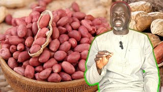 🥜 Ndiarignou Guérté kémb ou Les vertus de L arachide de bouche  Pr Ousmane Ndiaye  SAMA XALAAT TV [upl. by Naek132]