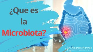 ¿Que es la Microbiota [upl. by Corena312]