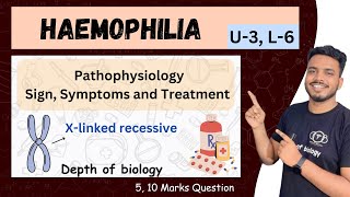 haemophilia  haemophilia pathophysiology  haemophilia depth of biology haemophilia sgsir [upl. by Nirrej]