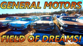 GENERAL MOTORS FIELD OF DREAMS So Many Nice Classic Cars Cadillacs Pontiacs Buicks Chevrolets [upl. by Rauscher765]