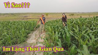 Linh Philip  Tâm Sự Trải Lòng Lý Do Vì Sao Để Anh Quý Chia Tay Anh Em Trong Việt Phi Farm [upl. by Hook]