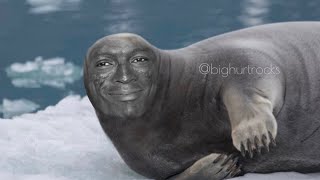 Seal in French meme [upl. by Eened]