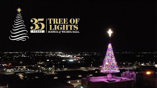 Hospice of San Joaquin celebrates Tree of Lights illumination [upl. by Lerner]