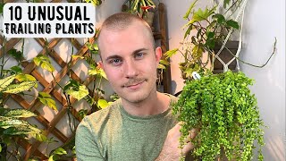 10 Unusual Trailing Houseplants [upl. by Kieger]