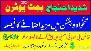 budget 2024 pensions and salary increased  zafar512 [upl. by Cinom574]