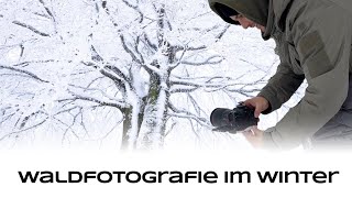 Waldfotografie im Winter  Naturfotografie Tutorial [upl. by Dorri]