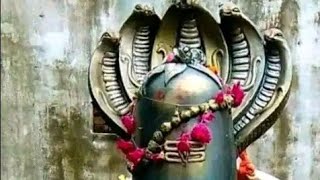 शिव चर्चा भजन ll 🙏❤️🥰🙏 ll trending shortsfeed shortsvideo Shivcharcha shivbhajan2024 vairal [upl. by Hescock11]