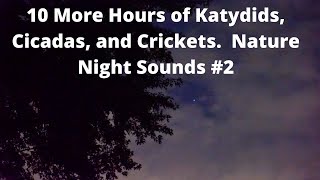 10 More Hours of Katydids Cicadas Crickets Sleep Study Relax Nature Video Nature Night Sounds 2 [upl. by Mushro4]