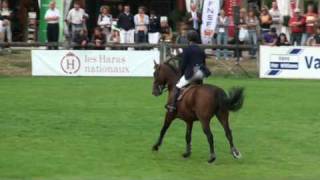 ♥ Florian Angot and Open Up Semilly stallion SF [upl. by Kiryt960]