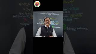 Alternation of Generation in BryophytesMoss Bio by Gulab Sir neetbiology class11biology latest [upl. by Limemann]