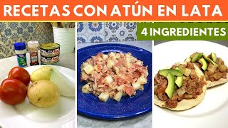 4 Recetas con atún de lata ¡Fáciles y deliciosas [upl. by Demodena603]