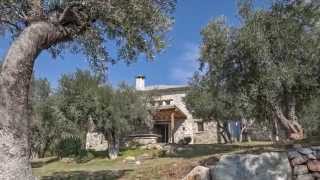 A stone home Through the olive trees By Dimitri Philippitzis [upl. by Ardisj]