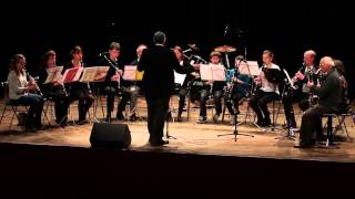 Gladiator for clarinet choir  Hans Zimmer [upl. by Paradies902]