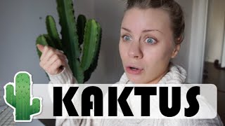 KAKTUS  vlogg [upl. by Dace]