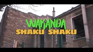 Pheno Ambro  WAKANDA SHAKU SHAKU  Official video [upl. by Emirac]