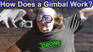 How Drone Gimbals Keep Your Footage Smooth [upl. by Ardiedak]