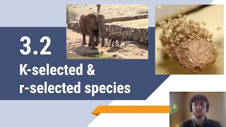 APES Video Notes 32  Kselected amp rselected species [upl. by Paloma320]