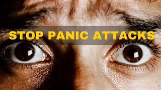 Daniel Schmachtenberger  How to deal with panic attacks [upl. by Ycniuqal]