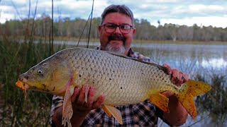 Carp Chaos Catching Monster Mud Marlin At Lake Moodemere [upl. by Yantruoc174]